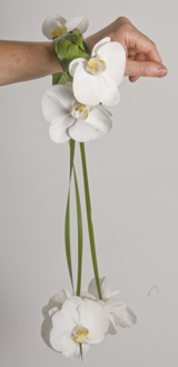 Bouquet de Mariée
