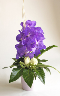 Composition Florale