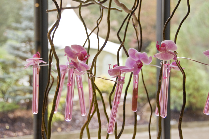 Décoration Florale