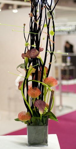 Décoration Florale