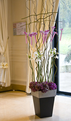 Décoration Florale