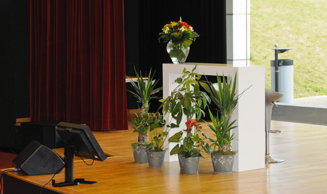Location de Plantes