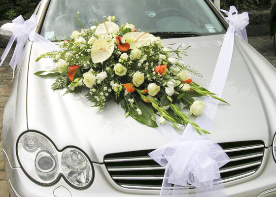Capot de Voiture