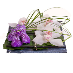 Composition Florale