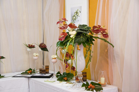 Salon du Mariage