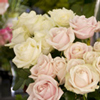 Bouquet de Roses